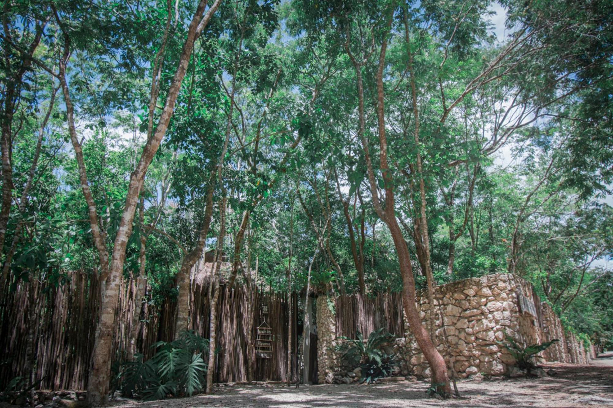 Pepem Holistic Experience - Peaceful Retreat Near Tulum (Adults Only) Exterior foto