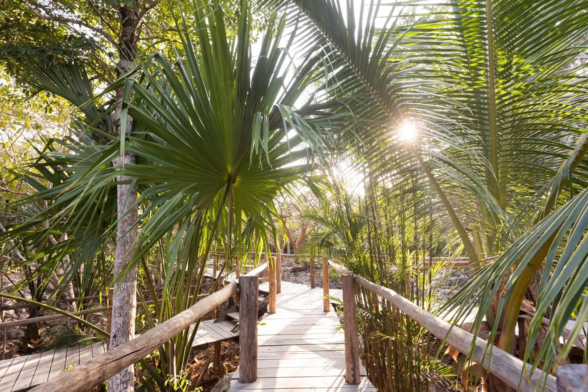 Pepem Holistic Experience - Peaceful Retreat Near Tulum (Adults Only) Exterior foto